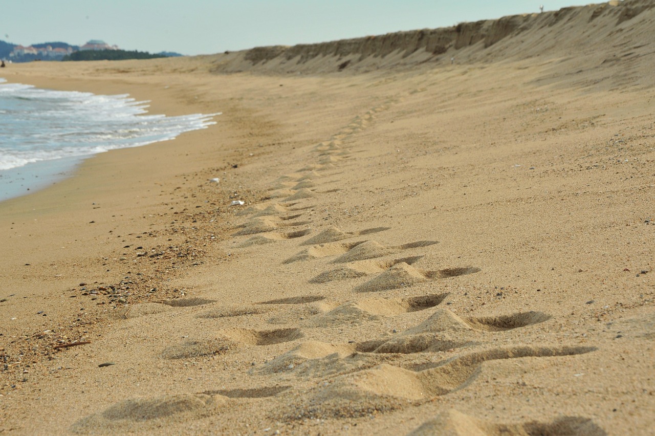 How to Develop a System for Tracking Your Work Progress